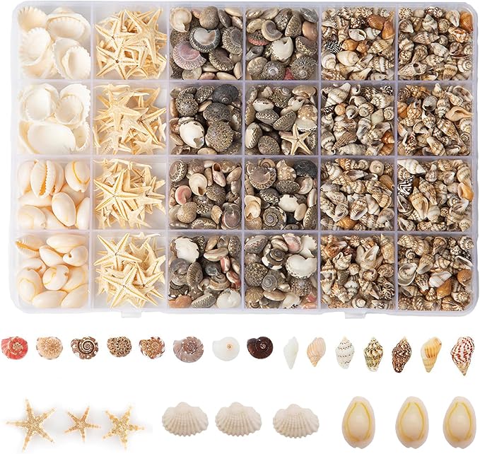 1300 PCS Small Seashells for Crafts, Tiny Mixed Sea Shells by Unknown