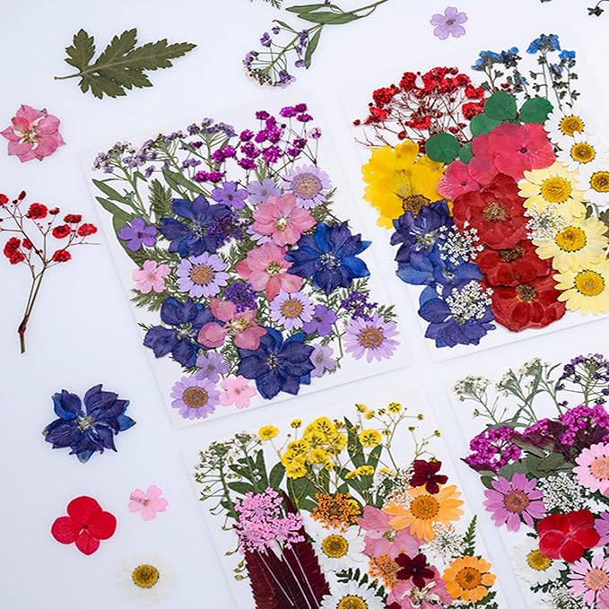 35Pcs Dried Pressed Flowers Leaves - Image 5