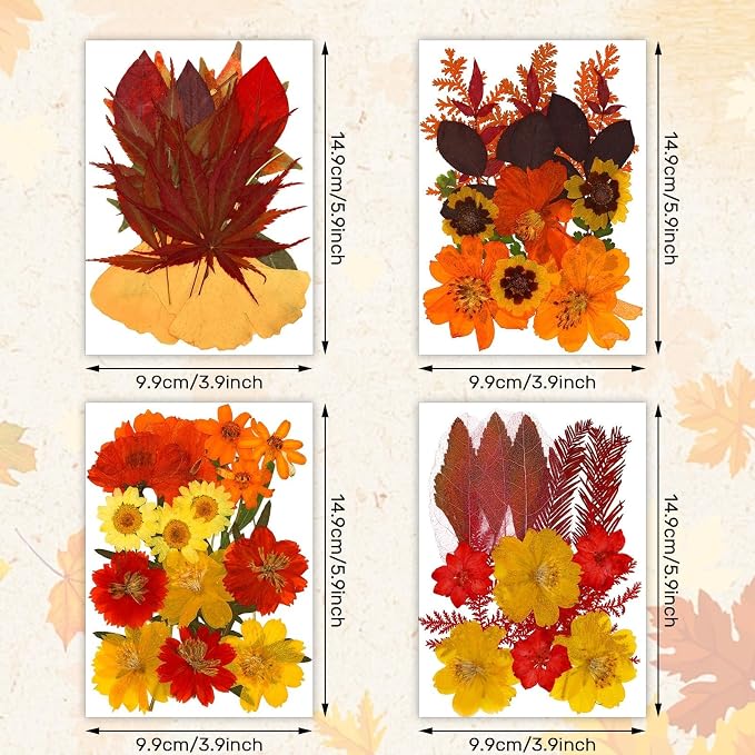 Augshy Fall Dried Pressed Flowers Orange Pressed Fall Leaves - Image 2