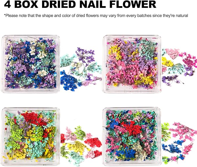 4 Boxes 3D Dried Flowers for Nails, Mini Dried Flowers Nail Stickers Decals | - Image 2