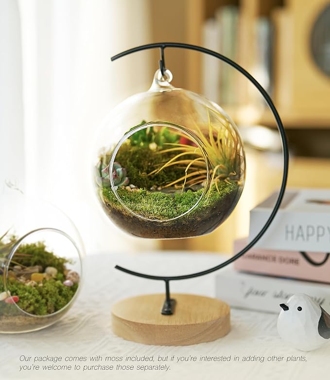 LUCKYRUNES DIY Terrarium Kit - Image 3