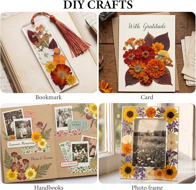 NESCCI 277 Pcs Autumn Dried Flowers - Image 5