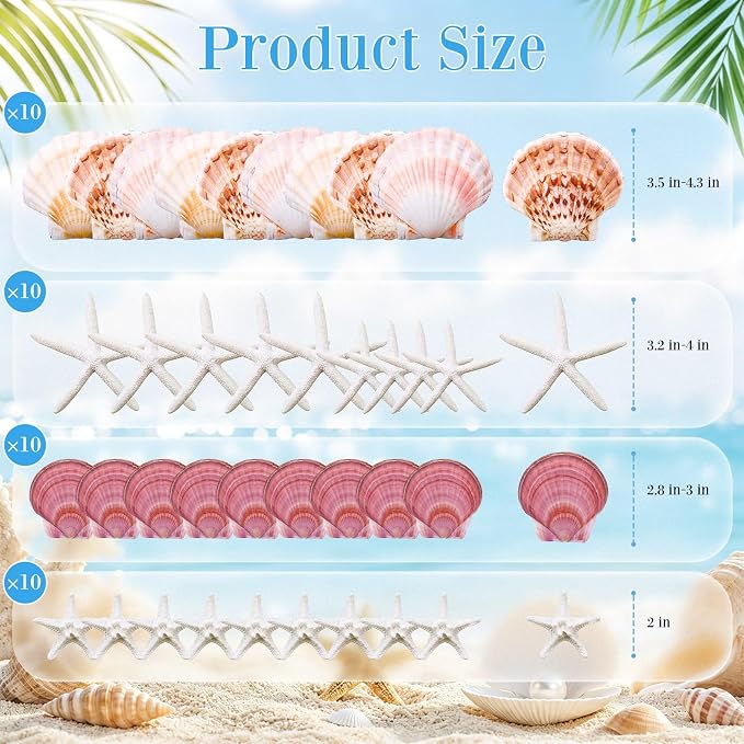 Junkin 40 Pack Natural Scallop Shells and Artificial Starfish - Image 2