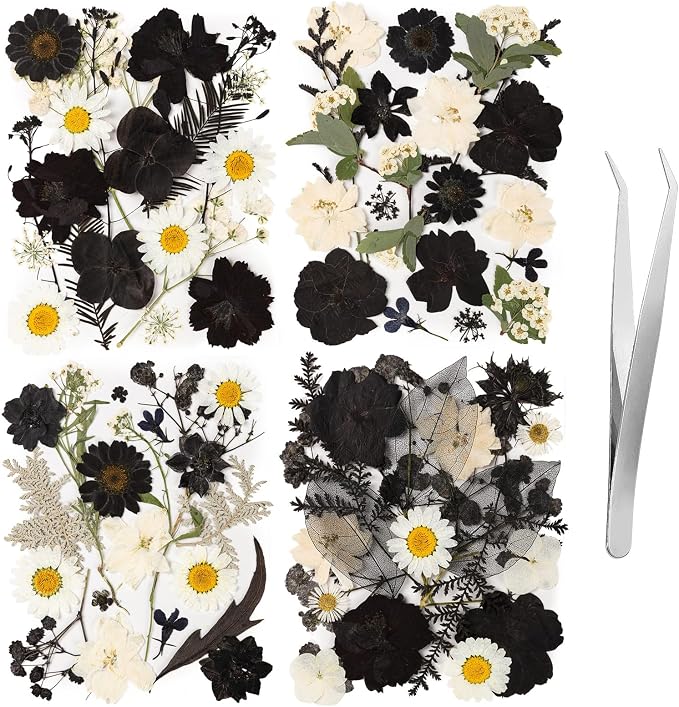 78 Pcs Black and White Dried Pressed Flowers by LGFMGWH