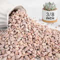 NUPICK 3 lbs Pebbles for Indoor Plants, 3/8 Inch Pea Gravel for Fish Tank by CreateAmazingChoice