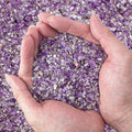 3 Lb Amethyst Crushed Stones Quartz Crystals Chips Bulk, Natural Tumbled by EZEELAI