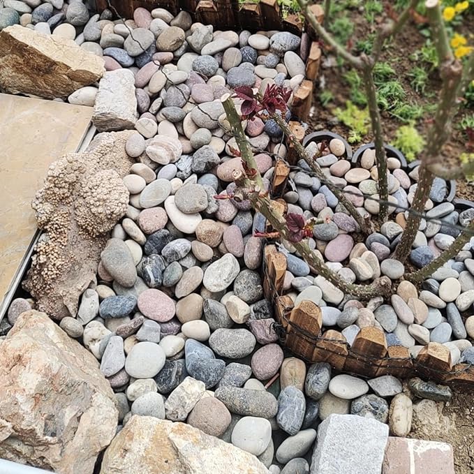 FANTIAN 5 lbs Pebbles for Plants, 1-2 Inch Decorative River Rocks for Plants - Image 5