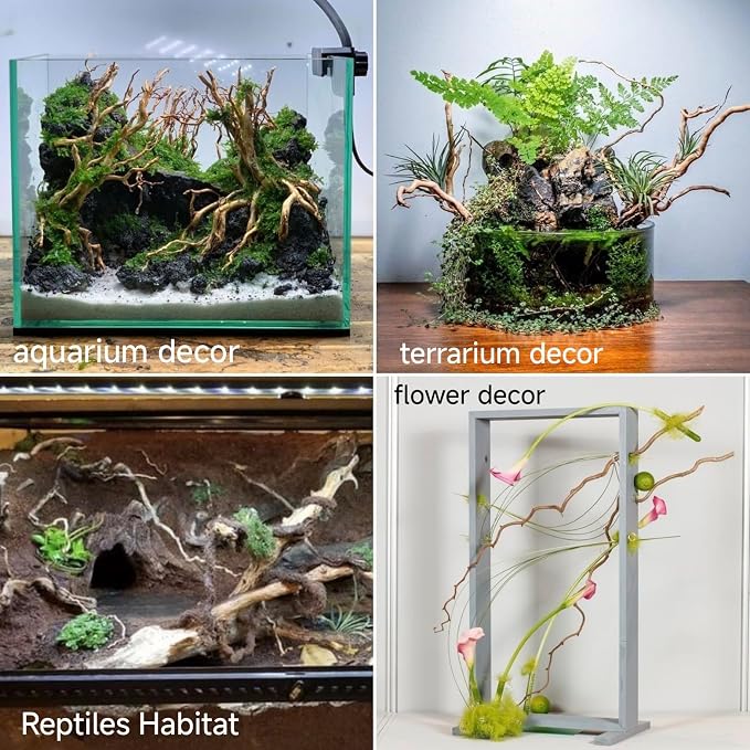 Azil Natural Aquarium Driftwood Root – Driftwood - Image 5