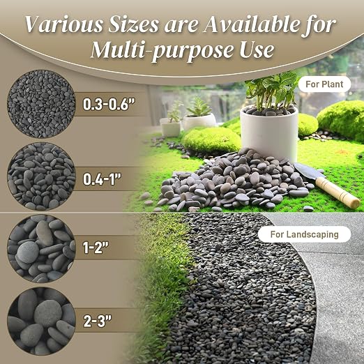 Quibbay 5 lbs Mexican Beach Pebbles, 2-3 Inch Decorative River Rocks - Image 6