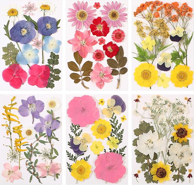 eBoot 72 Pcs Dried Pressed Flowers by eBoot