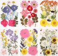 eBoot 72 Pcs Dried Pressed Flowers by eBoot