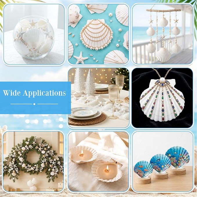 Junkin 40 Pack Natural Scallop Shells and Artificial Starfish - Image 5