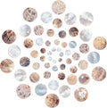 SUNNYCLUE 1 Box 60Pcs Natural Flat Round Seashells Pendant Mussel Shell Coin by SUNNYCLUE