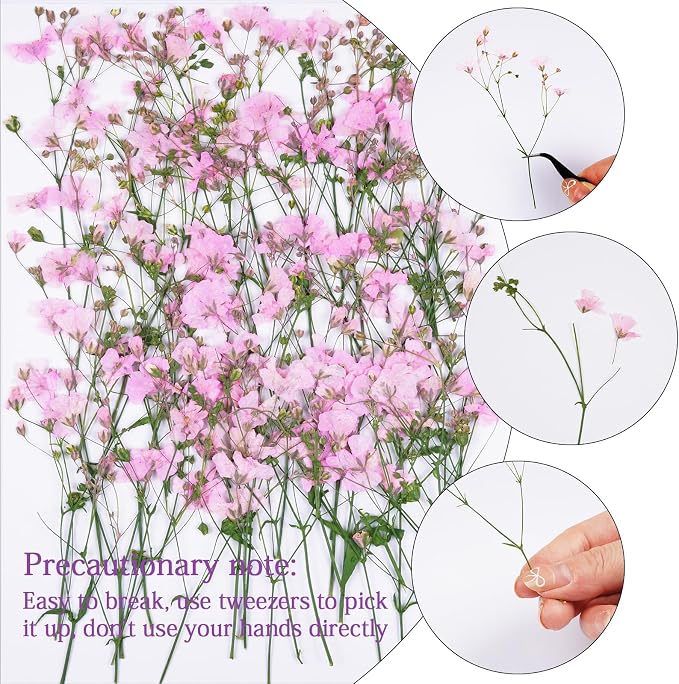 50Pcs Pink Dried Pressed Flowers - Image 3