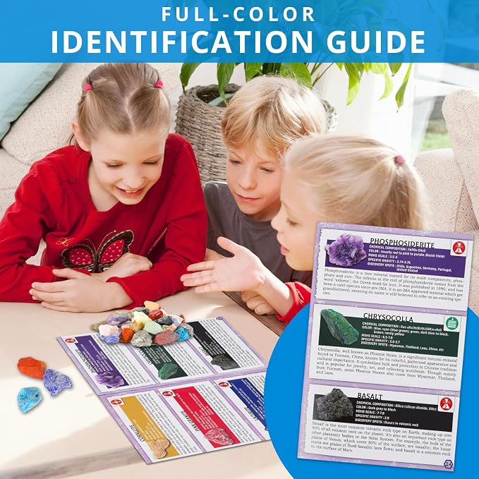 PIBEX Rock Collection Starter Kit - Image 7