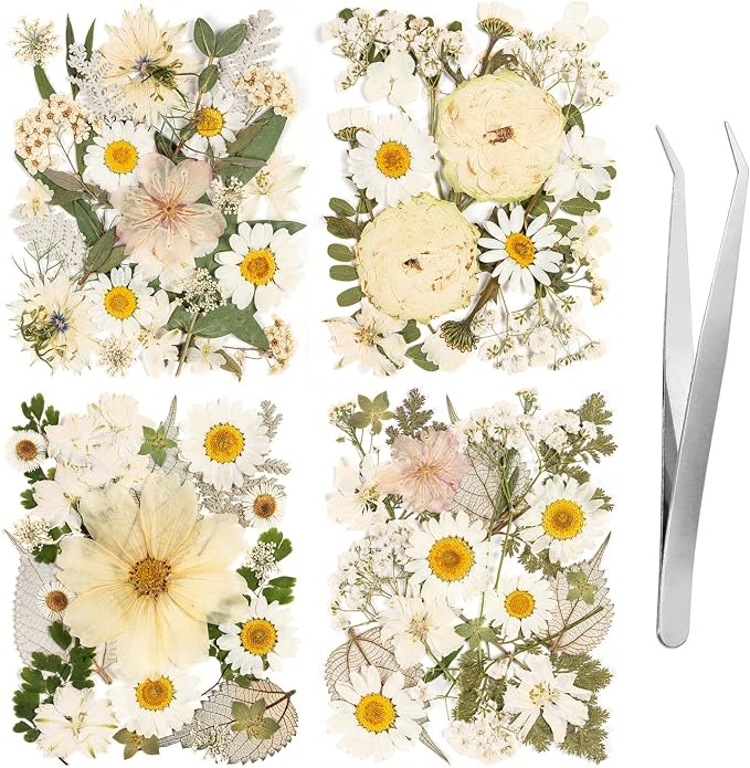 100pcs White and Light Yellow Dried Pressed Flowers Bulk, Natural Fall Pressed by LGFMGWH
