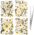 100pcs White and Light Yellow Dried Pressed Flowers Bulk, Natural Fall Pressed by LGFMGWH