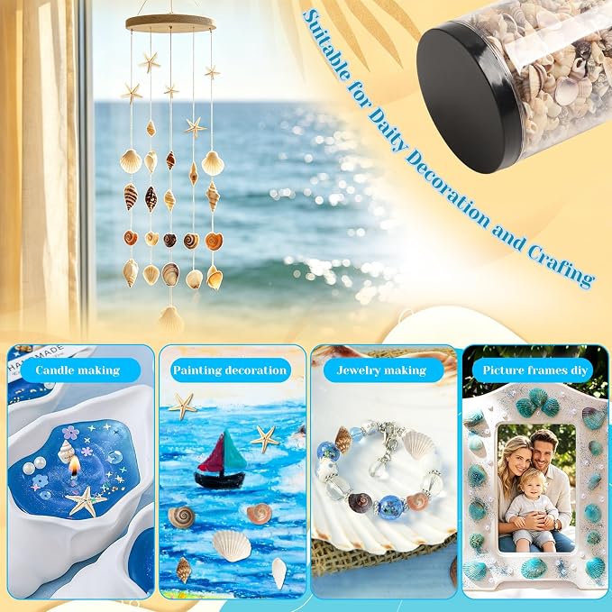1200 Pieces Tiny Sea Shells Small Natural Starfish Mixed Ocean Beach Spiral - Image 5