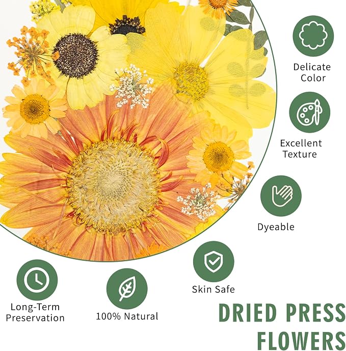 185 Pcs Dried Pressed Flowers for Resin Crafts, Real Natural Pressed Flowers - Image 3