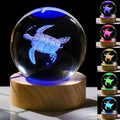 3D Sea Turtle Gifts for Women by Unknown