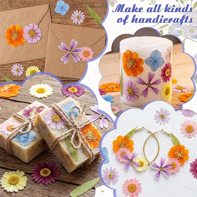 96 Pcs Natural Dried Pressed Flowers - Image 6