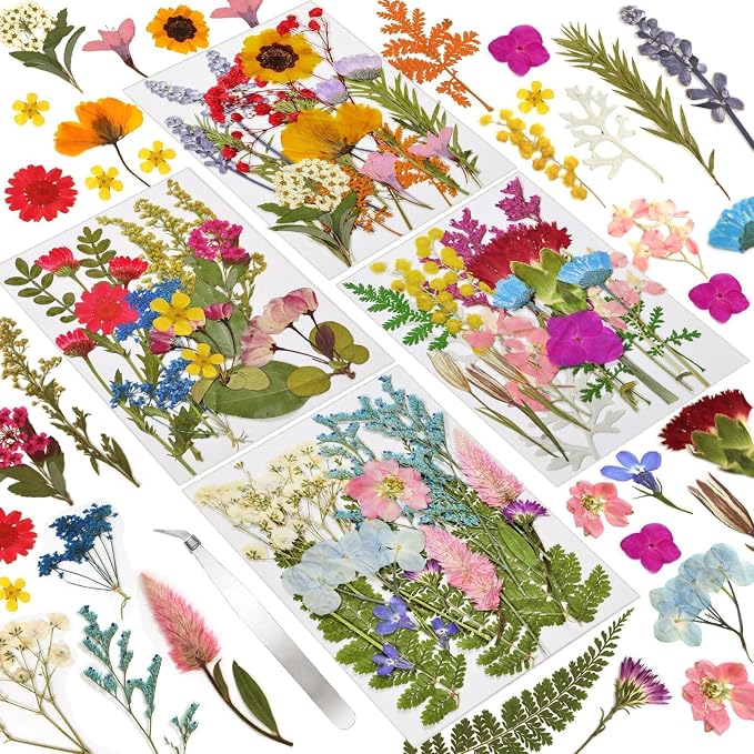 Dried Flowers | 72pcs Natural Pressed Flowers and Leaves by CONVELIFE