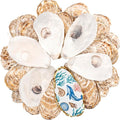 30Pcs Large Flat Oyster Shells for Crafts, 5-6 Inch Cleaned Natural Oyster by LAMIVORA