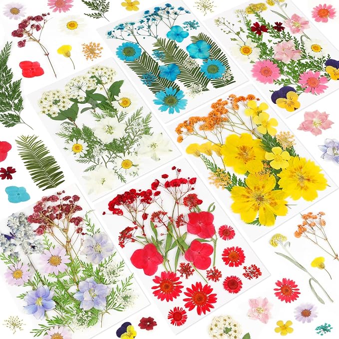 NESCCI Dried Pressed Flowers for Resin by NESCCI