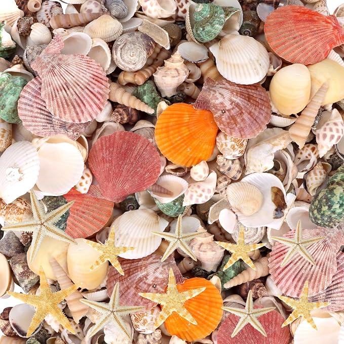 WEOXPR Mixed Sea Shells, 300+ Pcs Beach Seashells Starfish, Various Sizes Ocean by WEOXPR