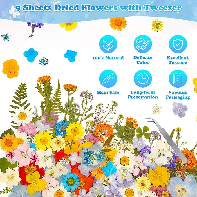 284 Pcs Dried Pressed Flowers - Image 5