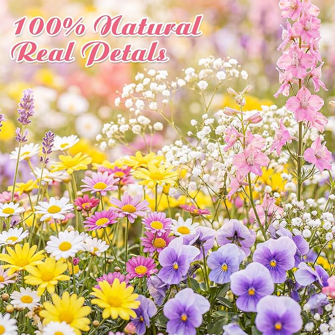 96 Pcs Natural Dried Pressed Flowers - Image 3
