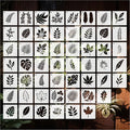 Stencils Plants 4in 53pcs Paint Template Reusable Plastic Templates DIY Crafts by BLOSSOMLAYER