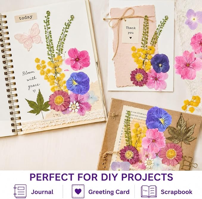 Real Dried Pressed Flowers for Crafts, Scrapbooking, Card Making, DIY - Image 3