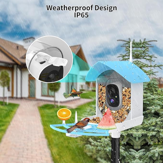 Bird Feeder with Camera, Smart AI Bird Breed Recognition, Birds Motion - Image 4