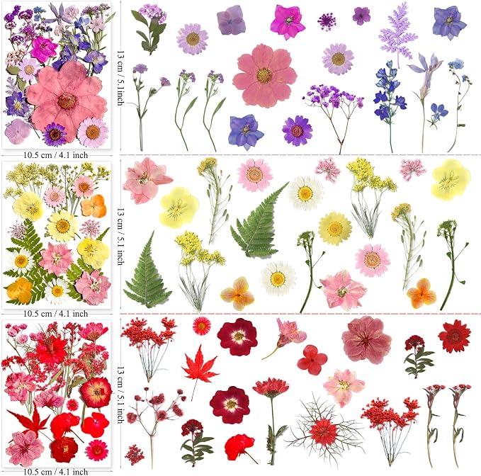 MIKIYA 182Pcs Dried Pressed Flowers - Image 6