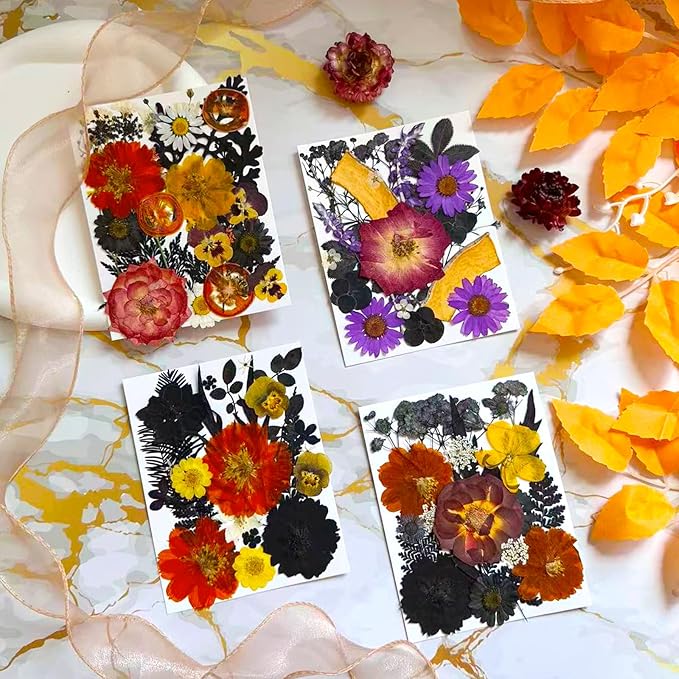 92 Pcs Dried Pressed Flowers Fruits - Image 2
