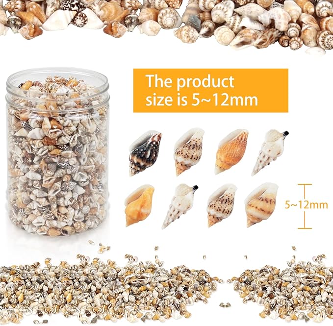 2000 Pcs Tiny Sea Shells for Crafting, Mixed Ocean Beach Mini Seashells Bulk - Image 4