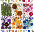 120Pcs Multi-Style Dried Pressed Flowers & Leaves by Unknown