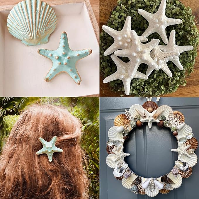JQAQJU 16PCS Starfish and Scallop Shells - Image 6