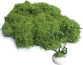 12.7oz Light Green Fake Moss Artificial Floral Moss Greenery Faux Plant by Forlaoers