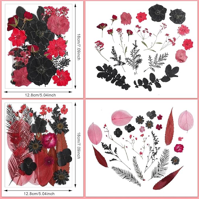 Nuanchu Black Red Dried Pressed Flowers - Image 4