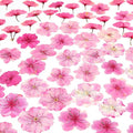 48 Pcs Mix Natural Dried Pressed Cherry Blossoms by AHTONG