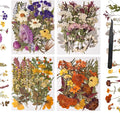 110 PCS Pressed Flowers with Twigs by nisetten