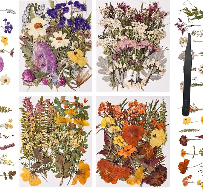 110 PCS Pressed Flowers with Twigs by nisetten
