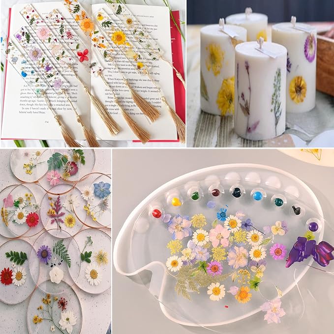 221PCS Real Nature Dried Pressed Flowers - Image 7