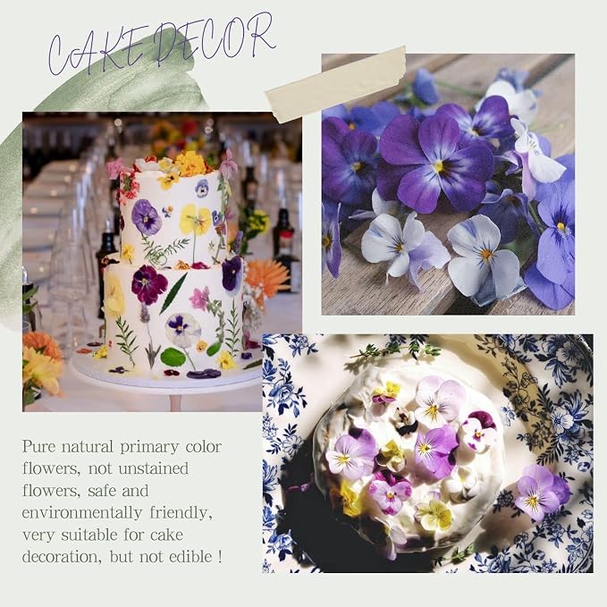 48 Pcs Mix Natural Dried Pressed Flowers - Image 2