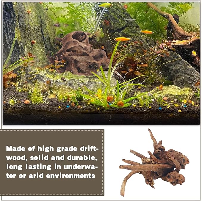 PINVNBY Natural Driftwood for Aquarium Fish Tank Decorations Assorted Branches - Image 4