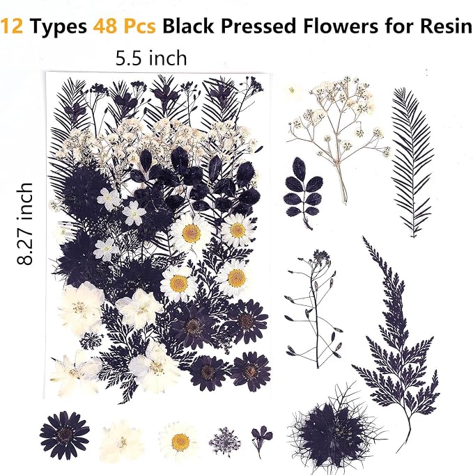 12 Types 48PCS Real Dried Pressed Flowers - Image 2