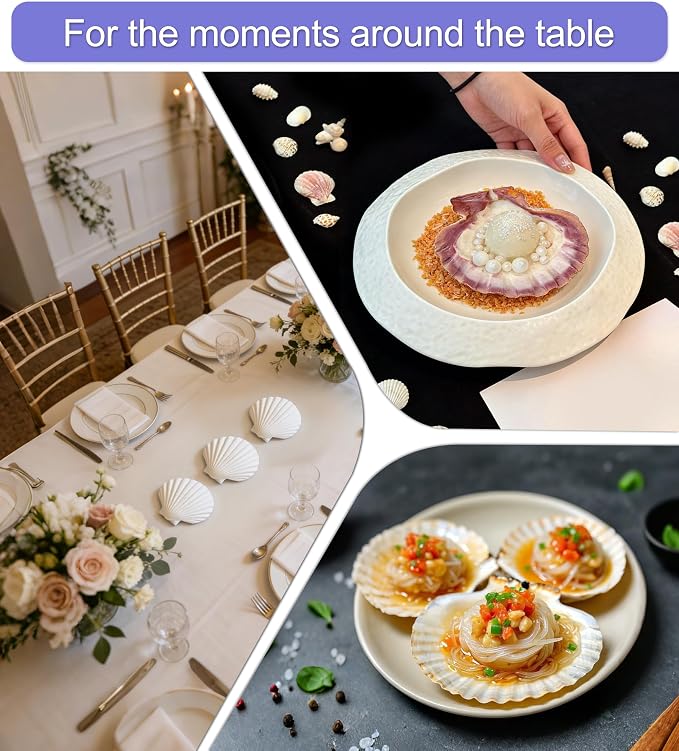 Denking 30 PCS Scallop Shells Mixed Sizes 3–5 Inch Natural White Seashells - Image 5