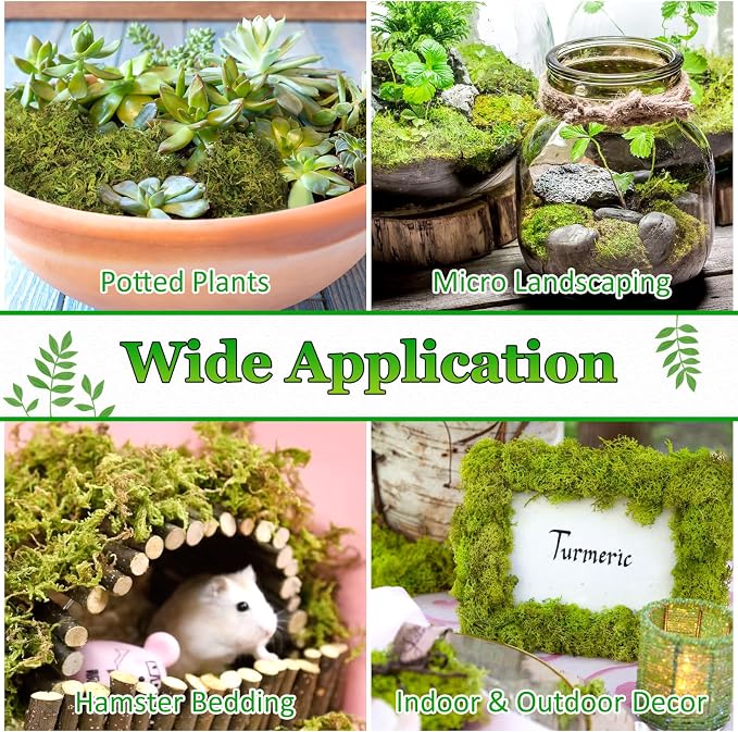 Riare 7OZ Natural Moss Artificial Fake Moss Alternative - Image 6